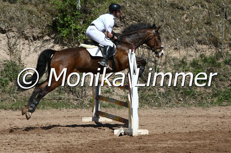 204M8571_Guardian Angel_Spring_Axx.JPG